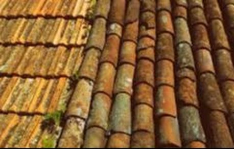 Old Terracotta Roof with Lichen Henrico Roofing VA