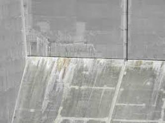 Efflorescence of Concrete Tile Henrico Roofing VA